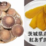 hikajhba0501nstakka0501