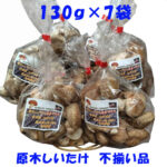 genshiinamahuzoroi1307